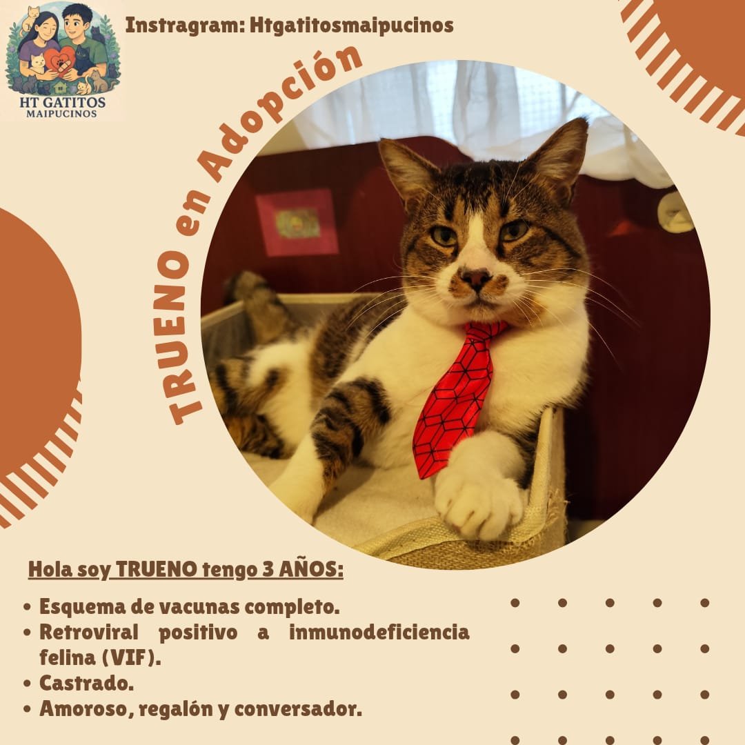 Foto de Trueno