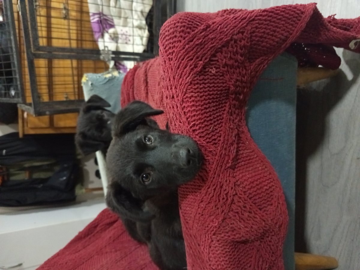 Foto de Luchito y Rolando