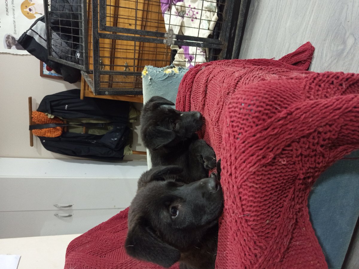 Foto de Luchito y Rolando