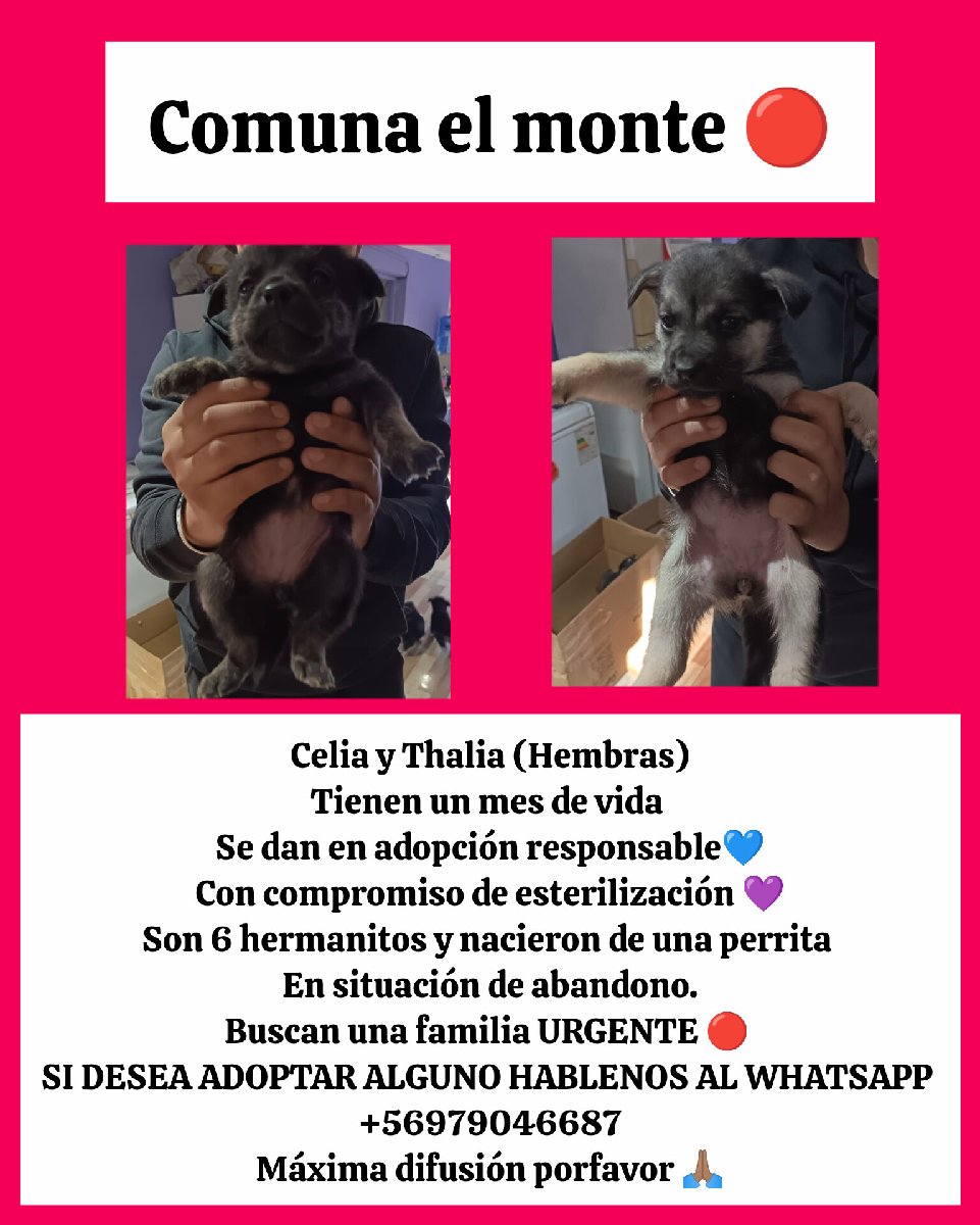 Foto de Celia y Thalía