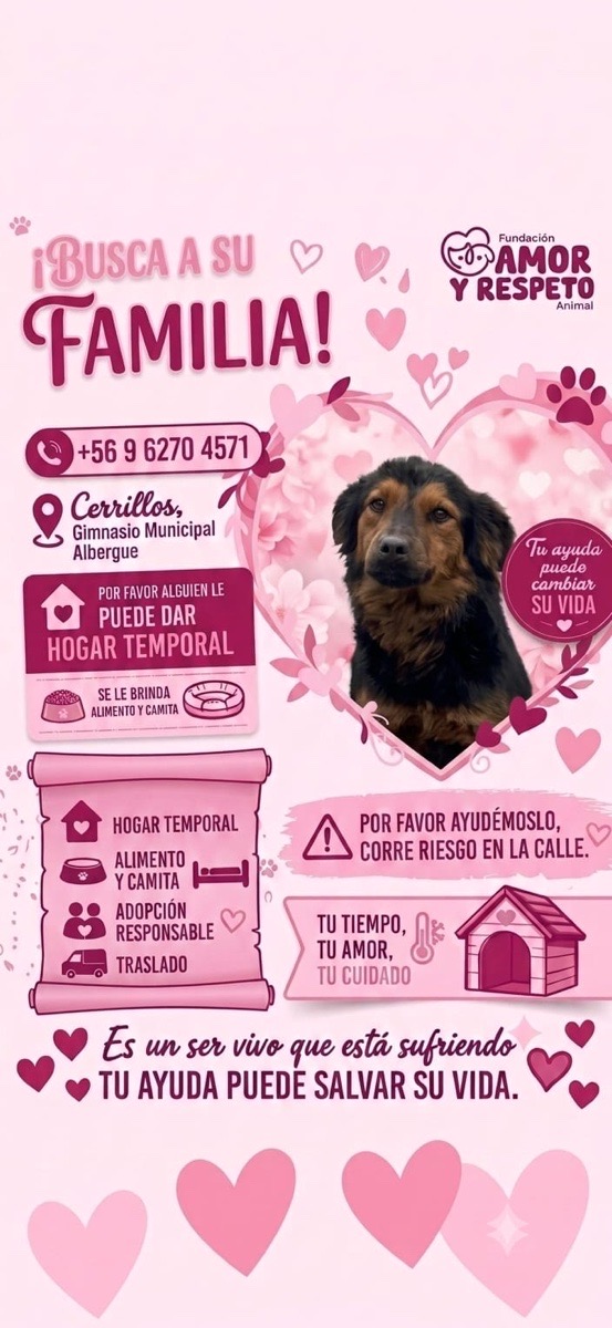 Foto de Cabezón 2