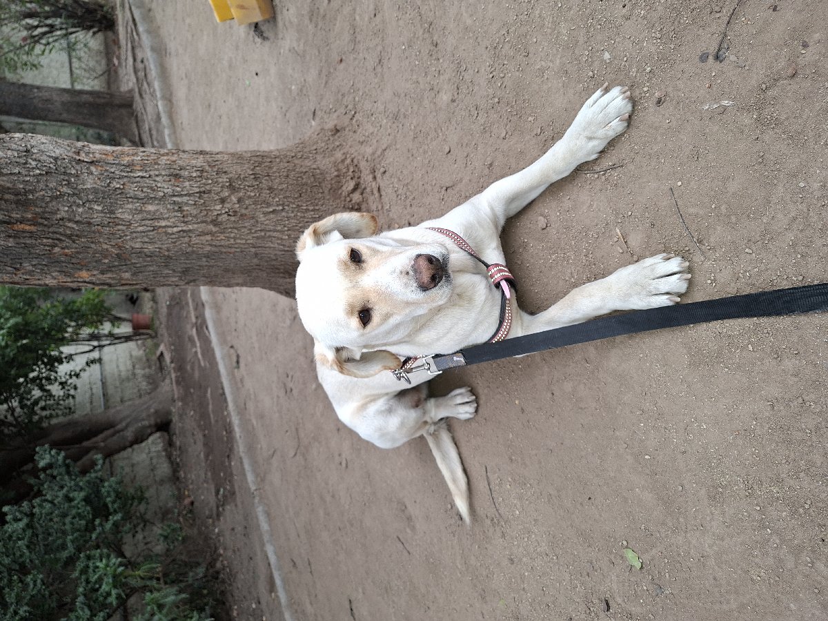 Foto de Deisy