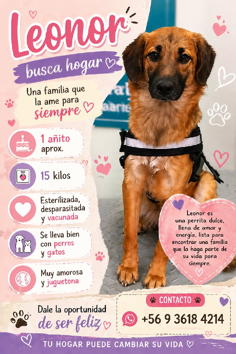 Foto de Perrito