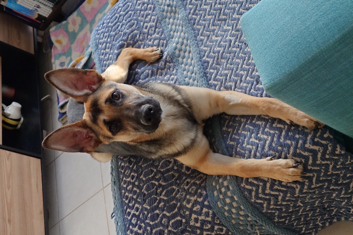 Foto de Lía