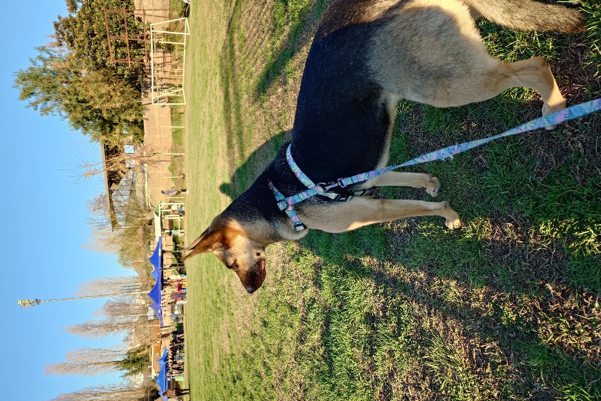 Foto de Lía