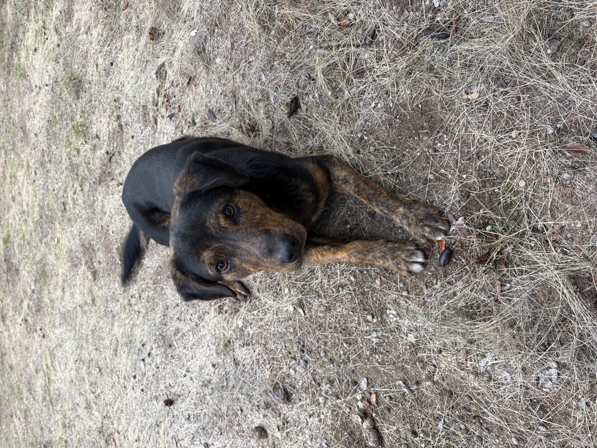 Foto de Apolo