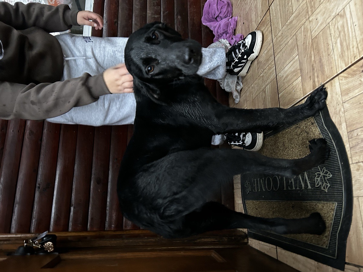 Foto de Gordo