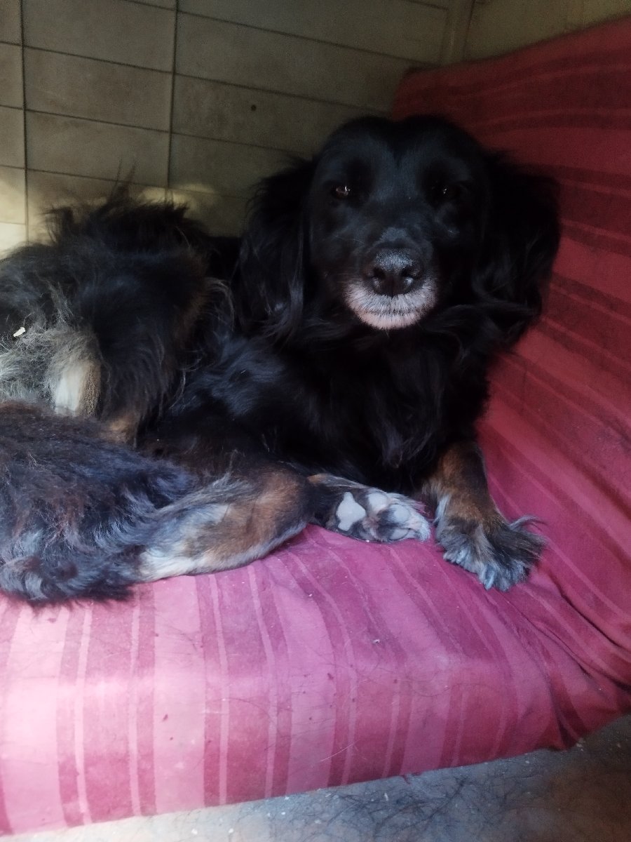 Foto de Hermanita