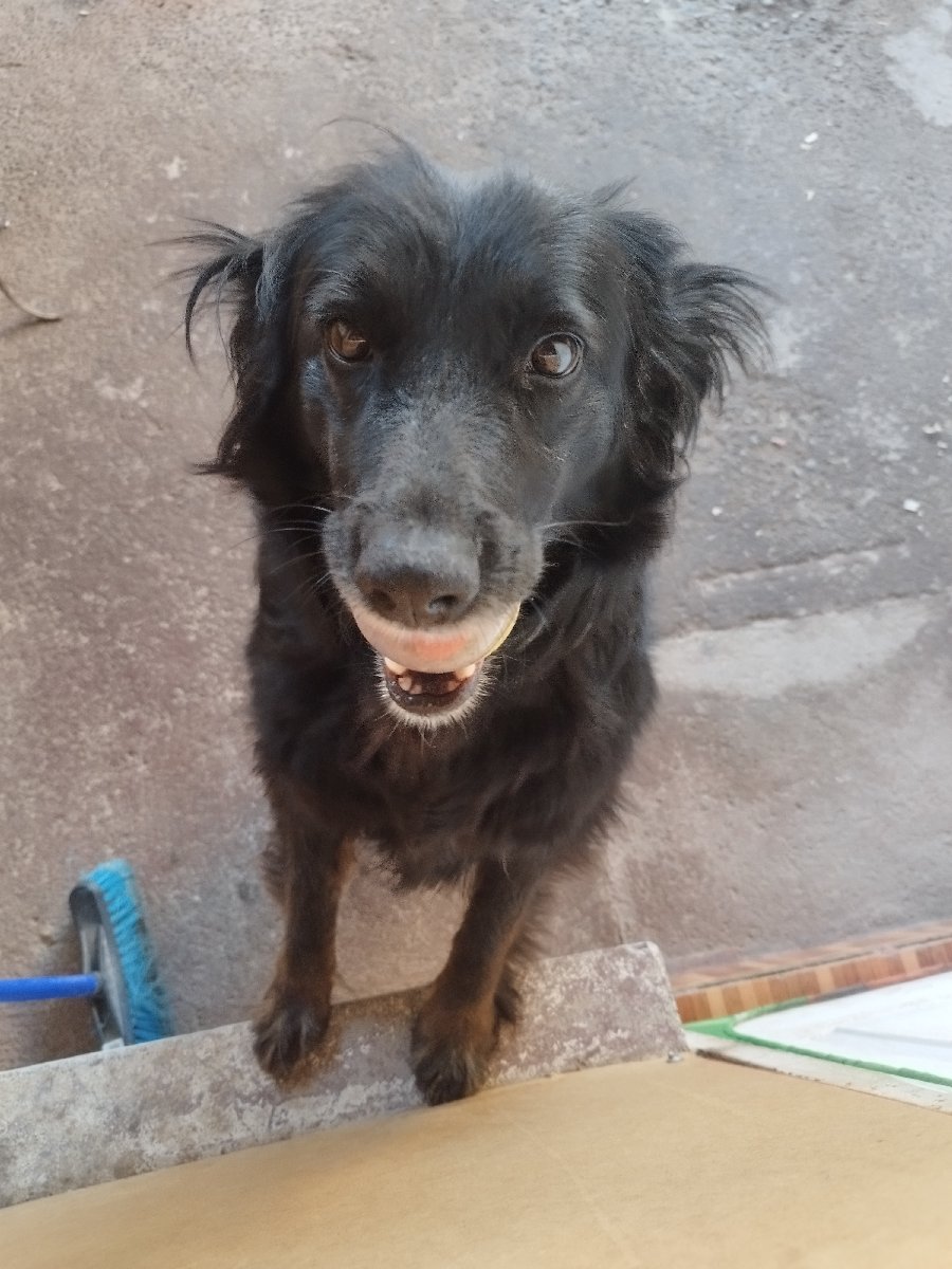 Foto de Hermanita