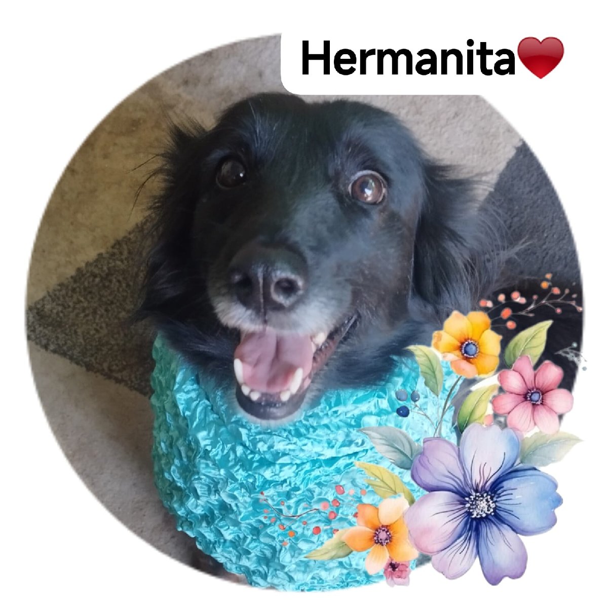 Foto de Hermanita