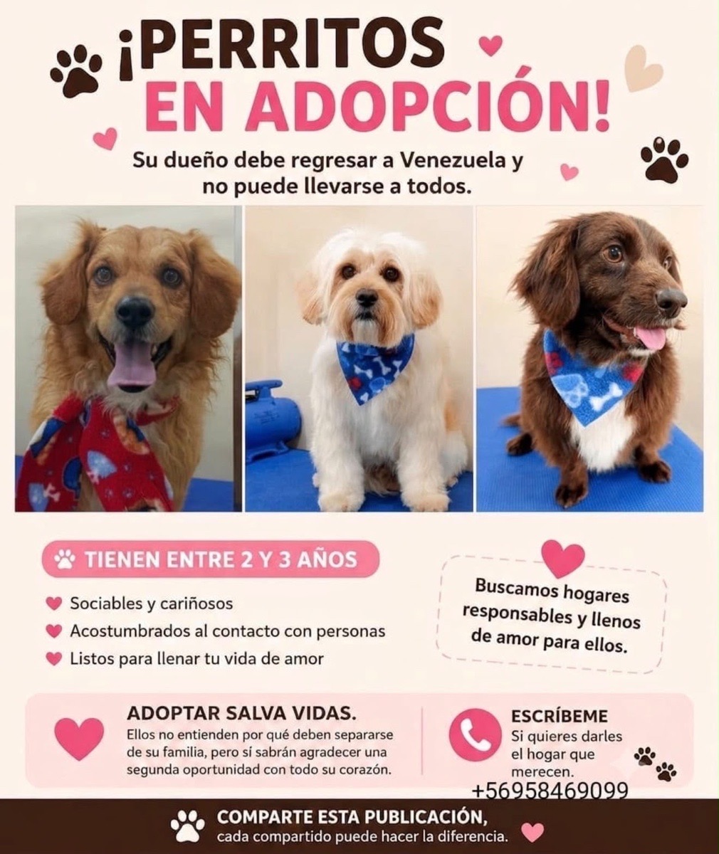 Foto de urgente adoptantes