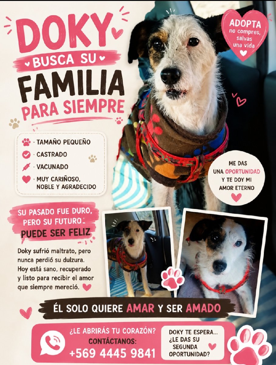 Foto de Perrito