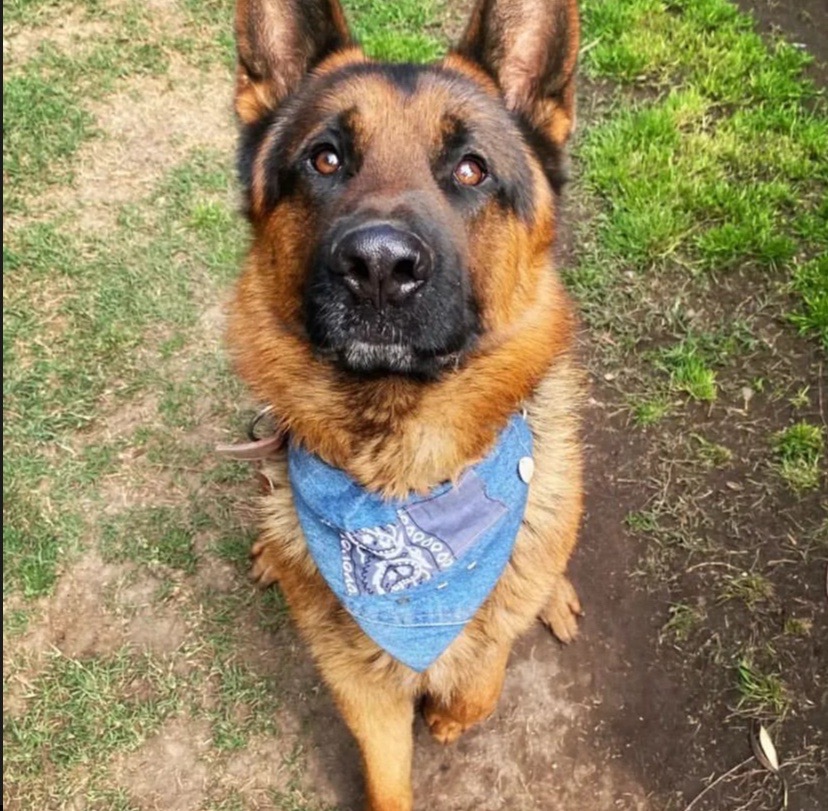 Foto de Anuk
