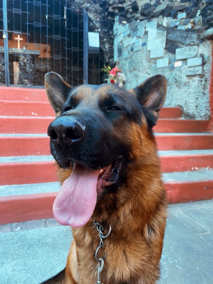 Foto de Anuk