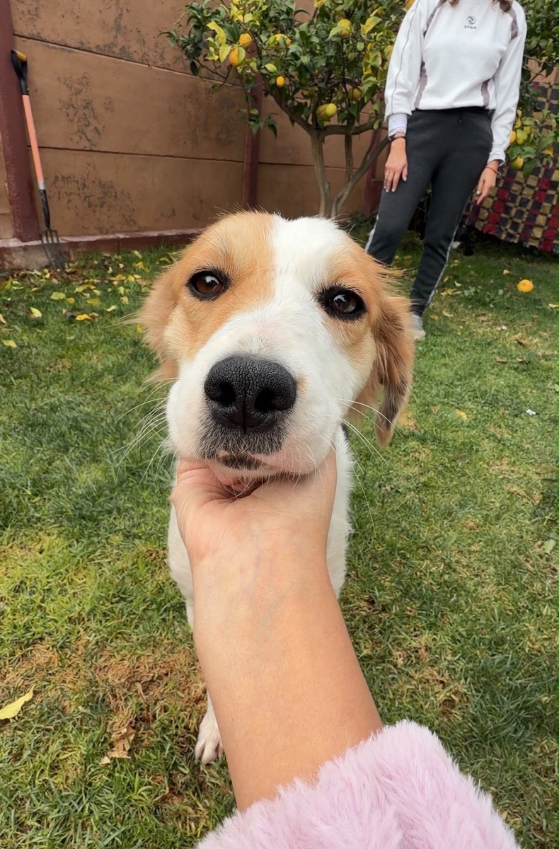 Foto de Aurora