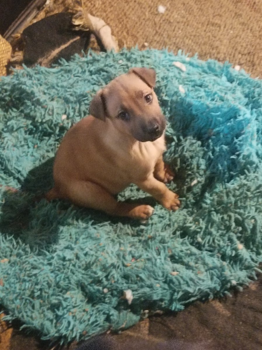 Foto de Oliver