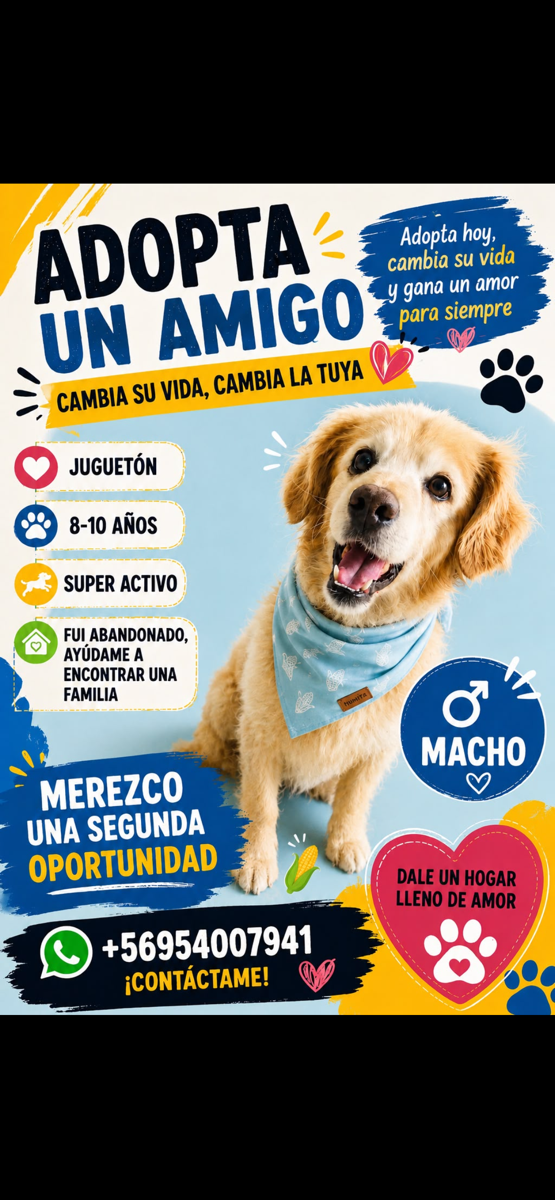 Foto de Perrito