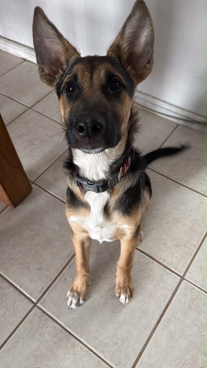 Foto de Baco
