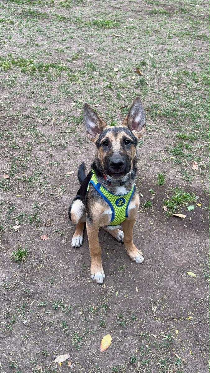 Foto de Baco
