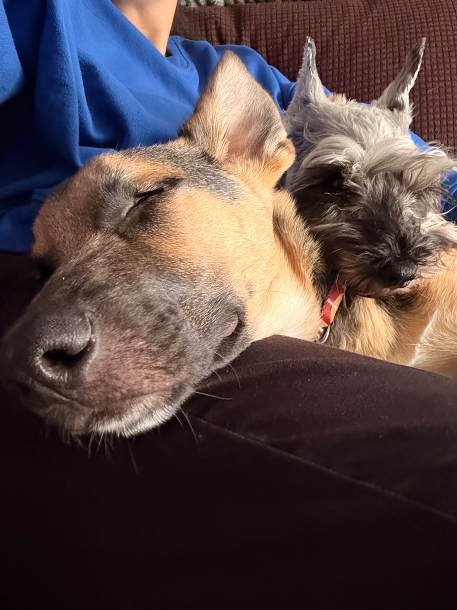 Foto de Baco