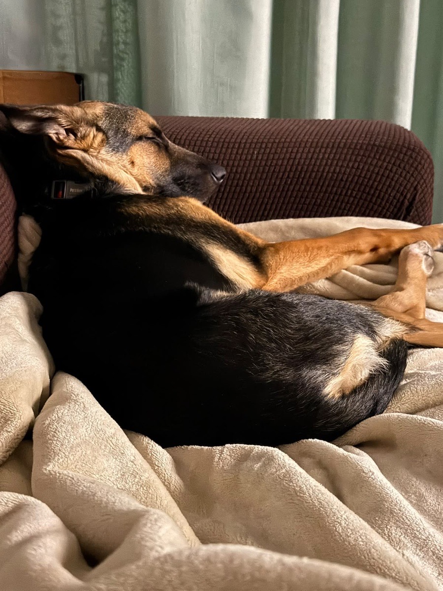 Foto de Baco