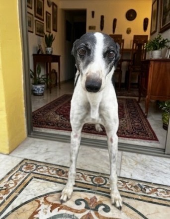 Foto de Anita