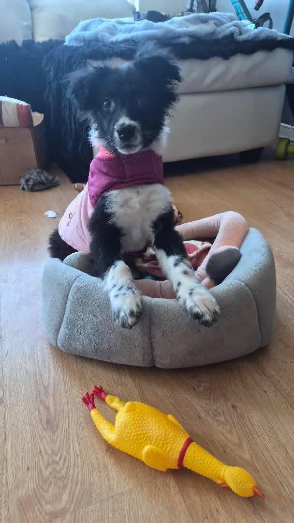 Foto de Zoe