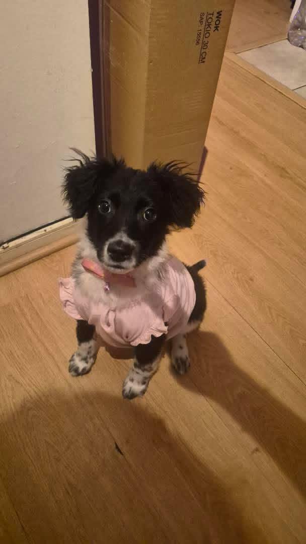 Foto de Zoe