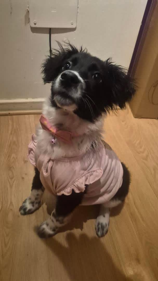Foto de Zoe