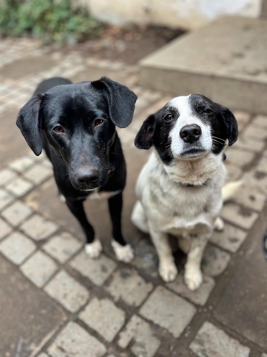Foto de Panchito