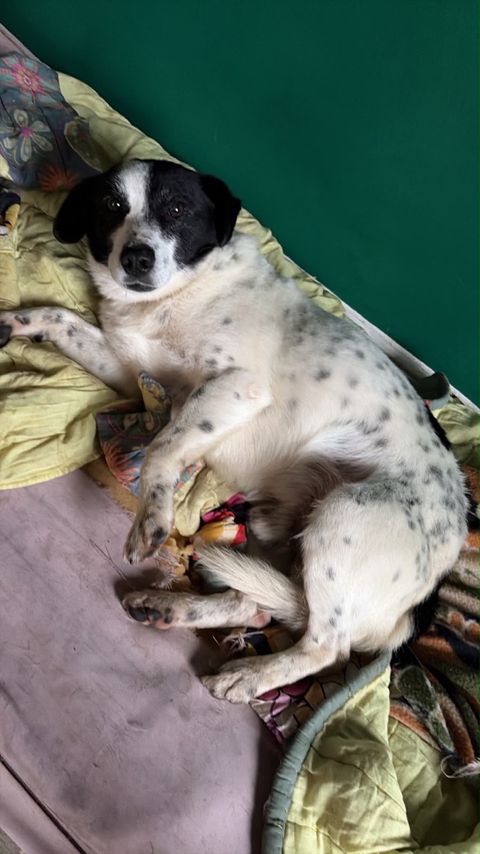 Foto de Panchito