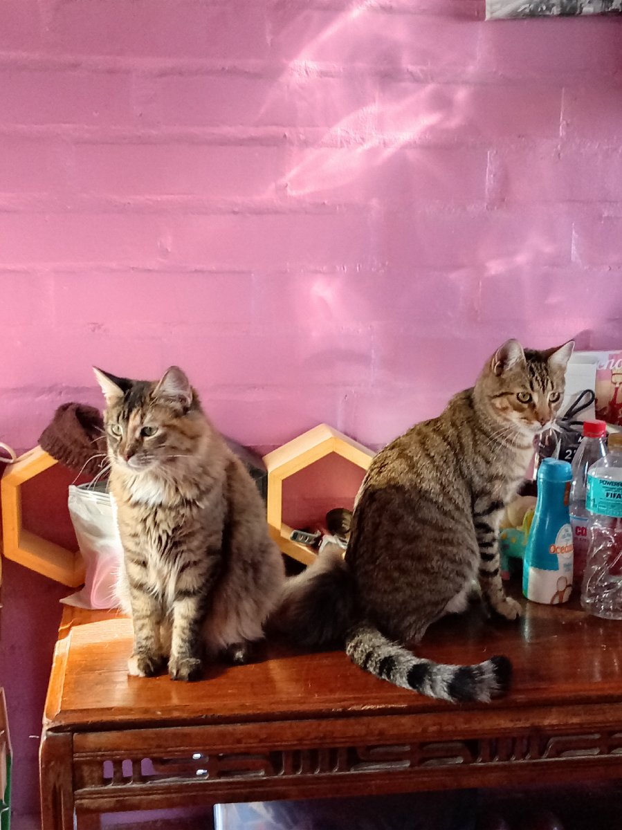 Foto de Lila y Philip