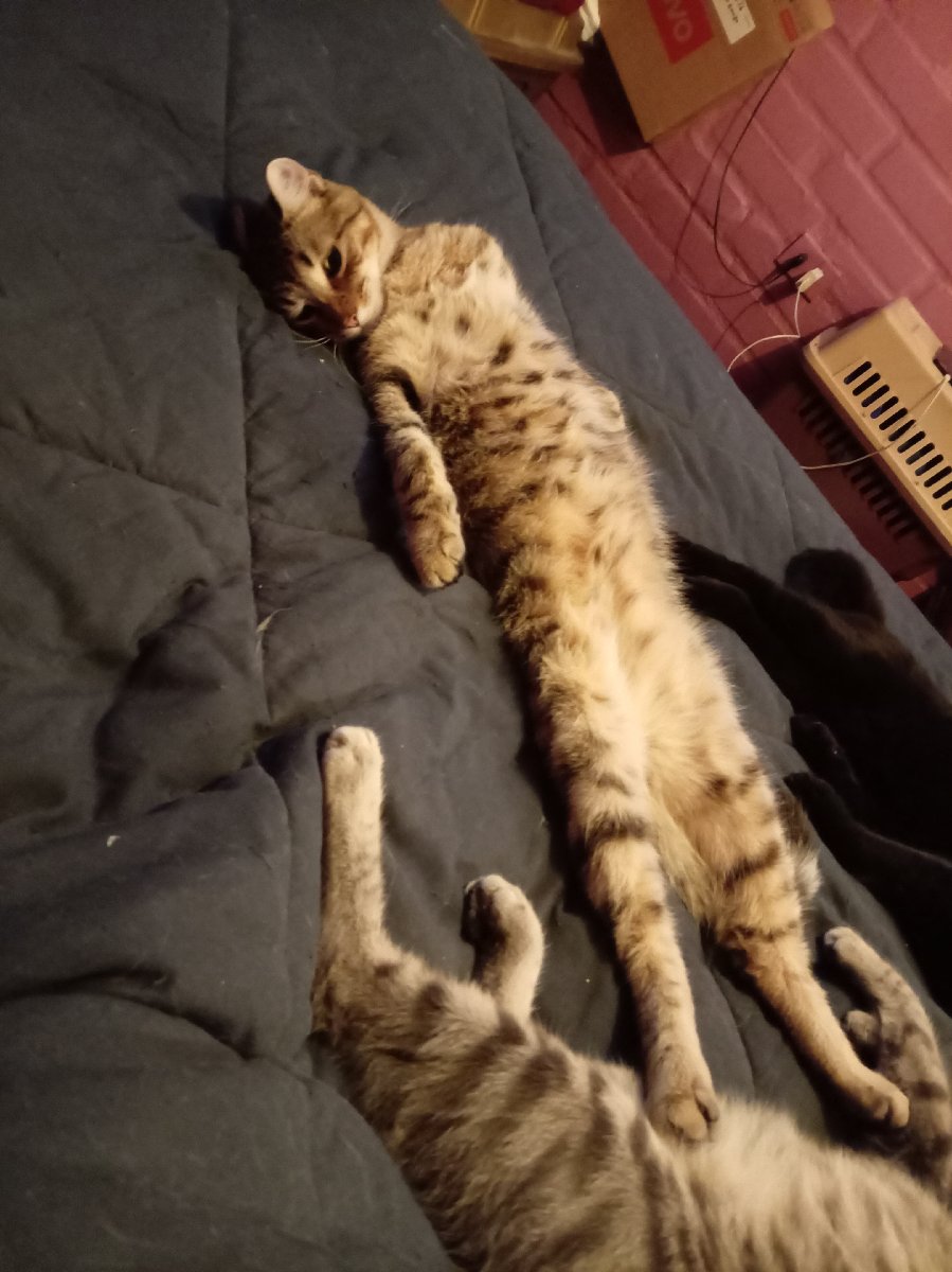 Foto de Lila y Philip