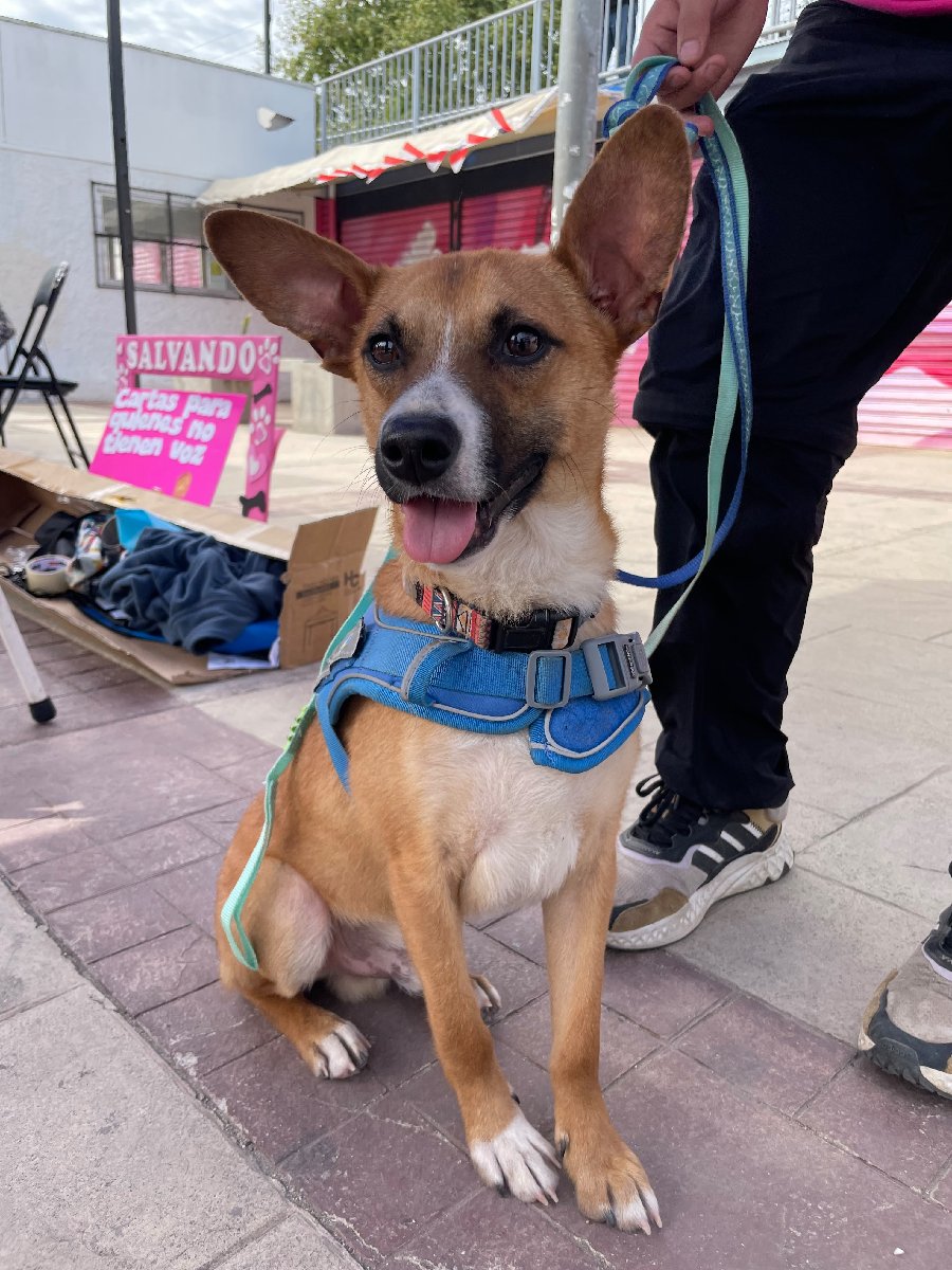 Foto de Gaspar