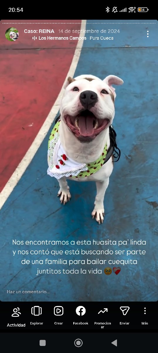 Foto de Reina