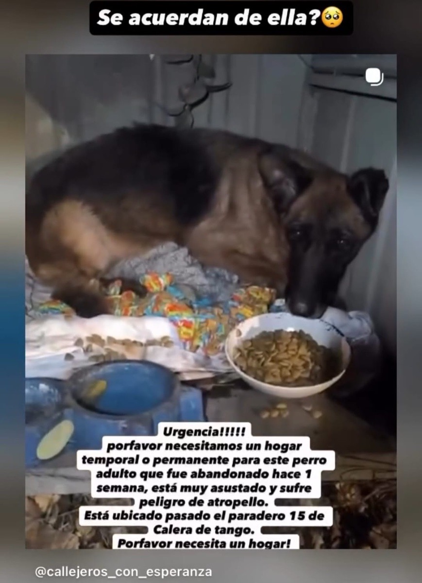 Foto de milagros