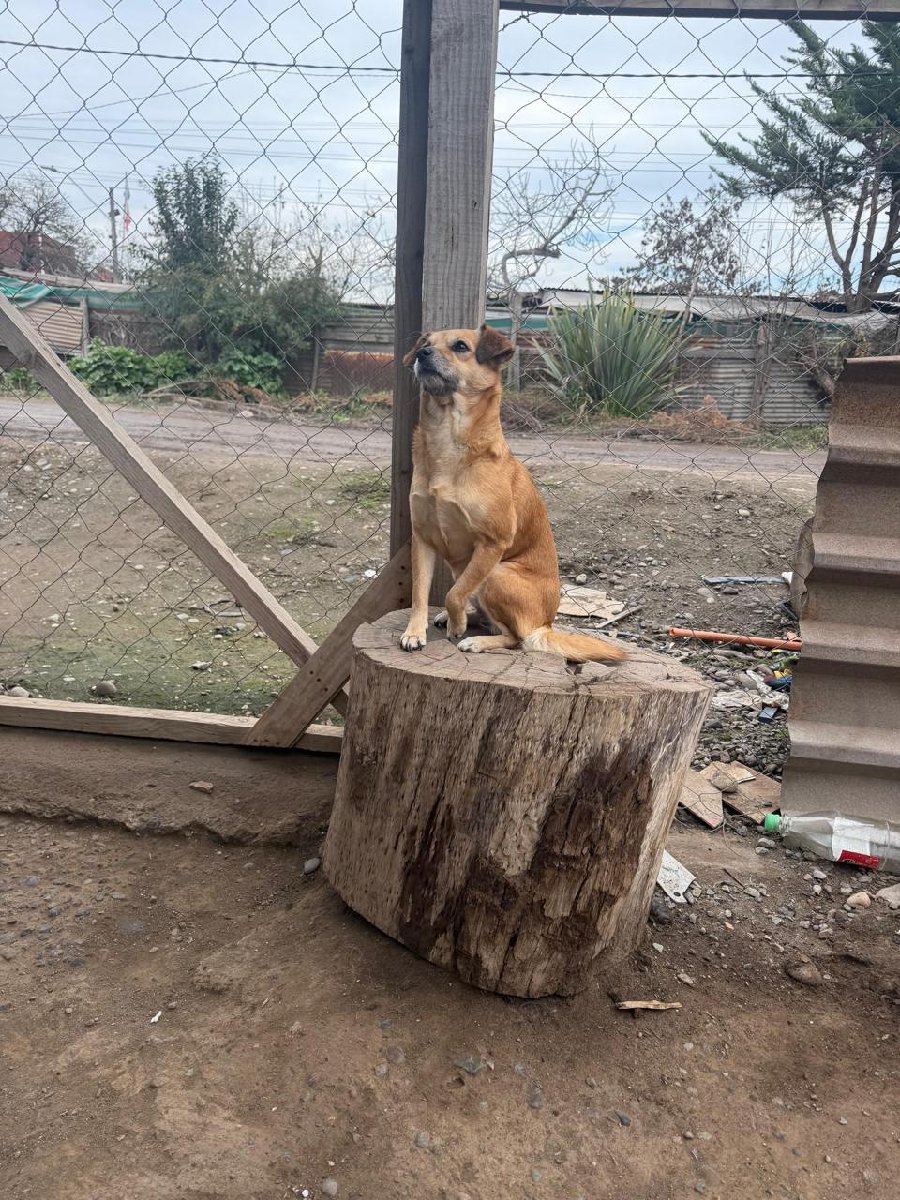 Foto de Monita