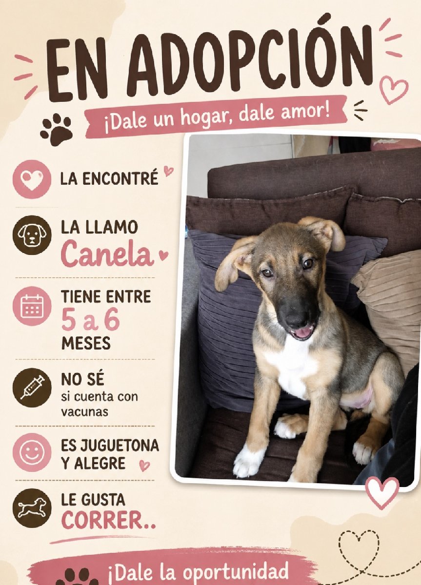Foto de Perrito