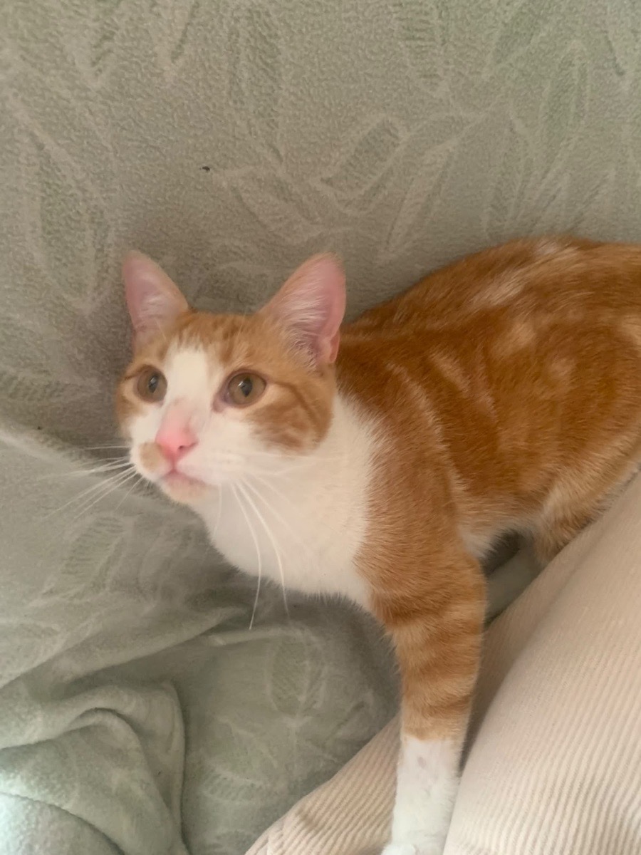 Foto de Elena y Mateo. Adopción doble.