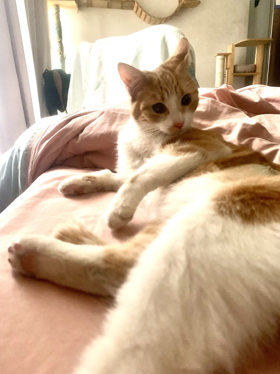 Foto de Elena y Mateo. Adopción doble.