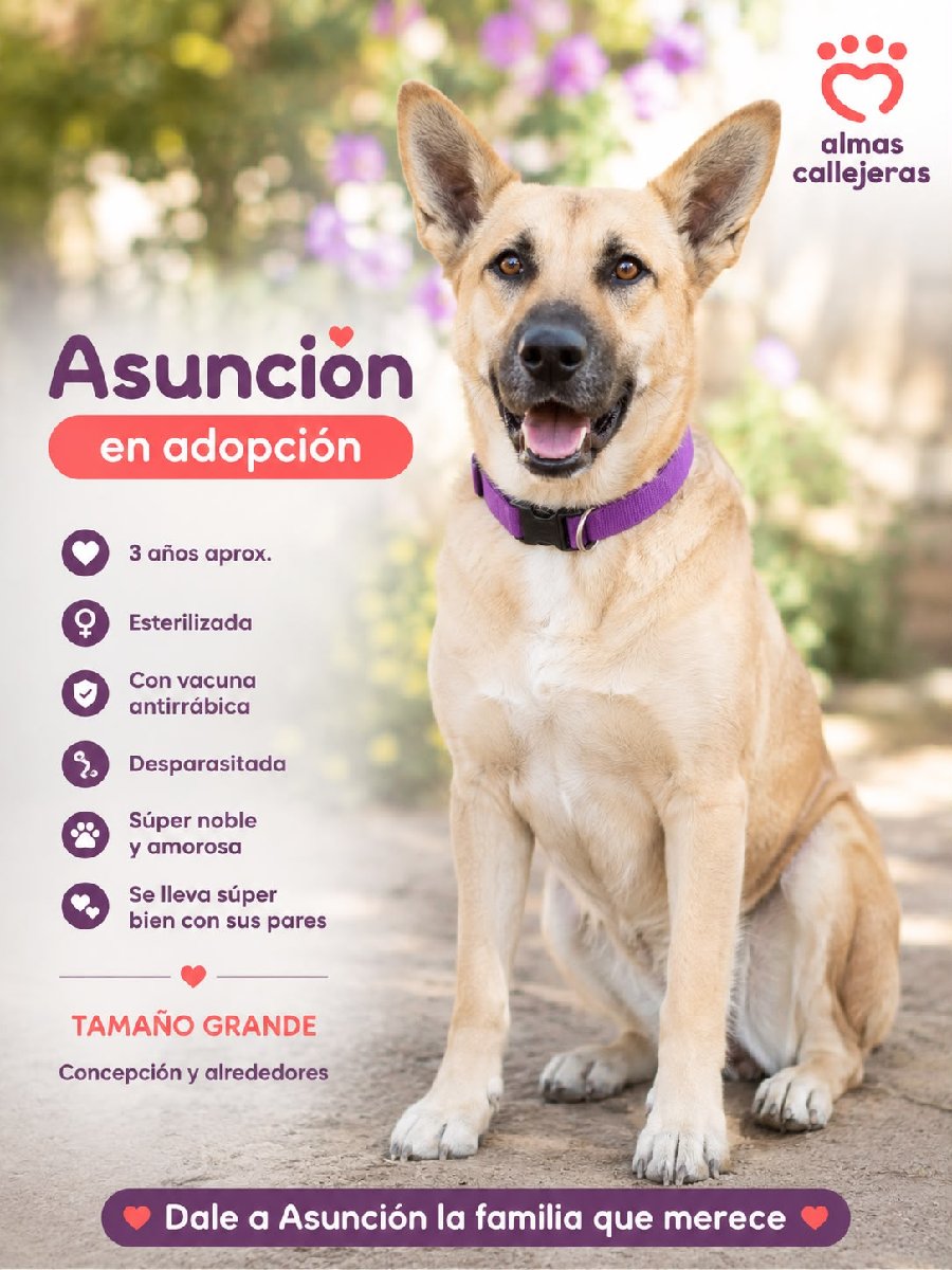 Foto de Asunción