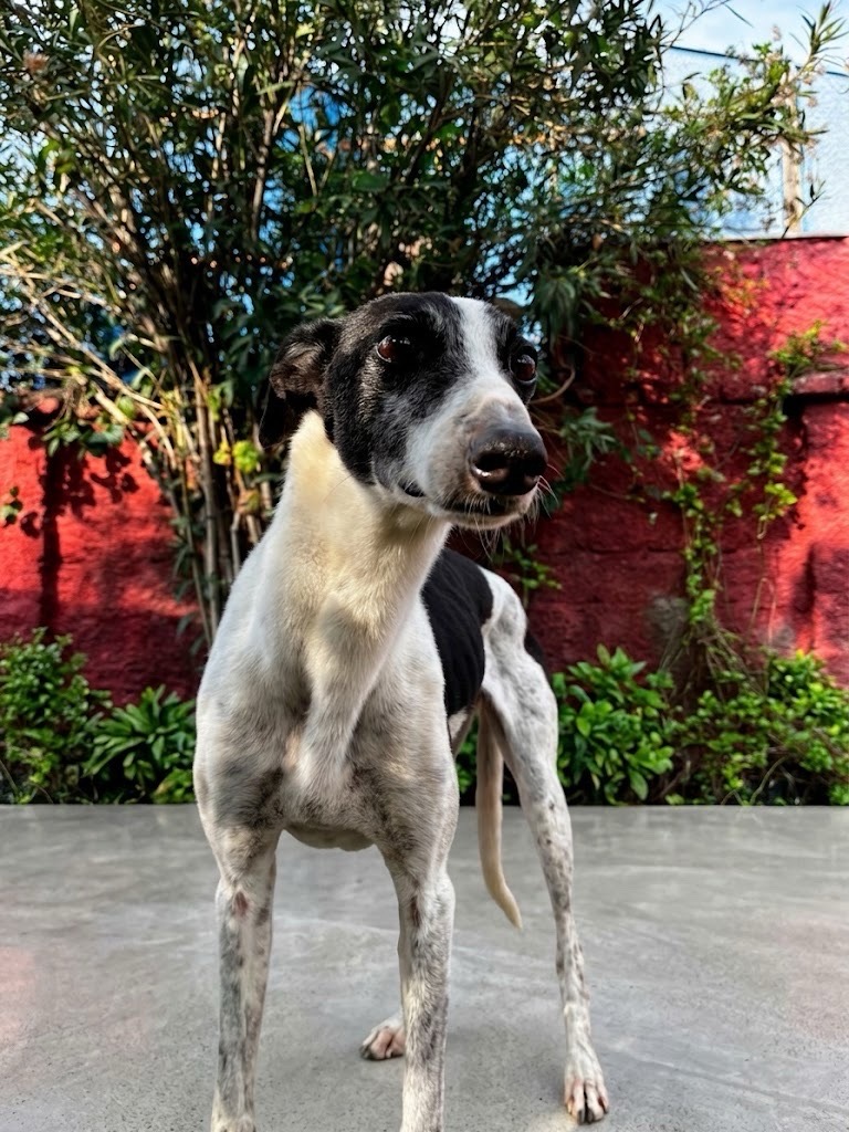 Foto de Anita