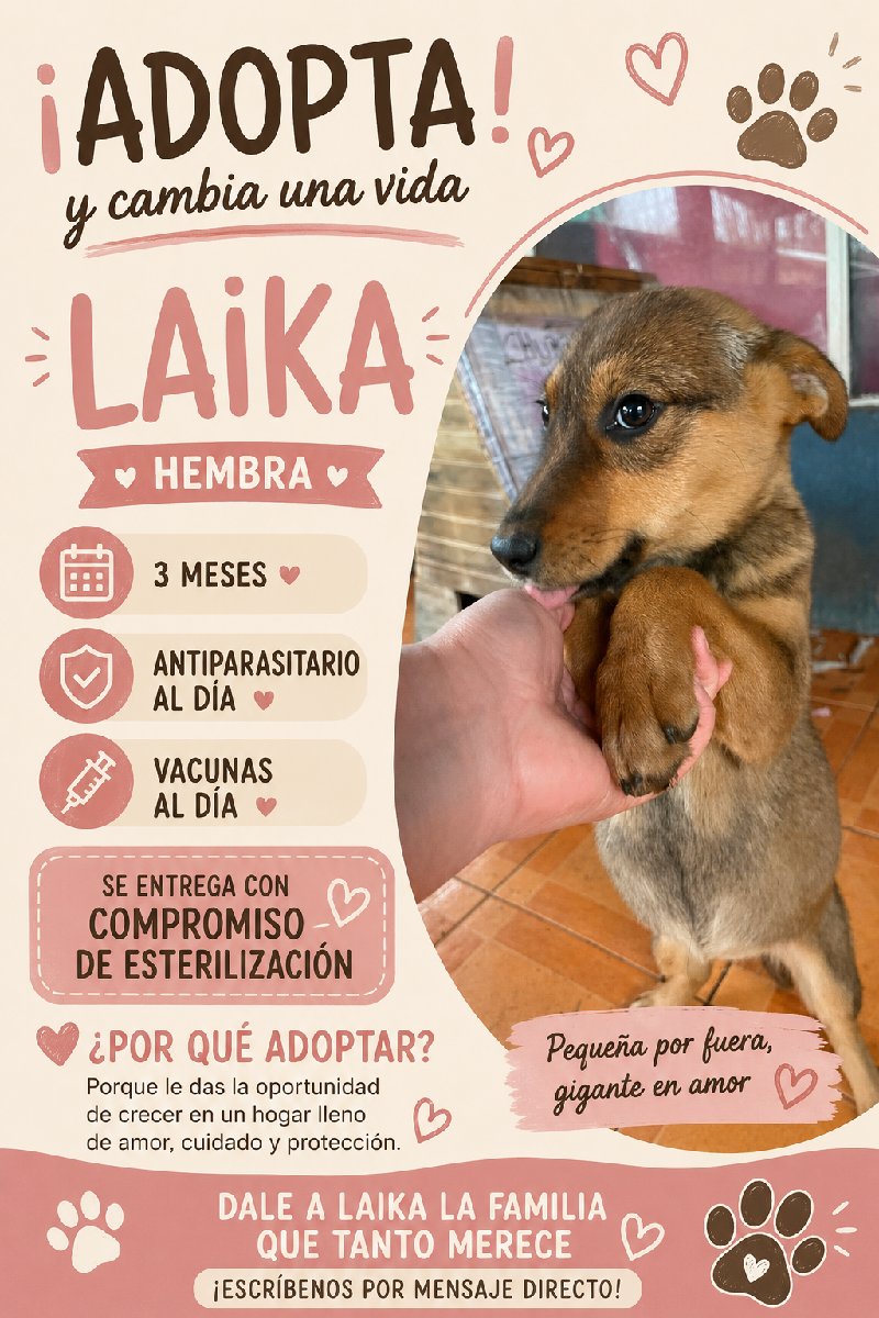 Foto de Laika, perro en adopción en Teno