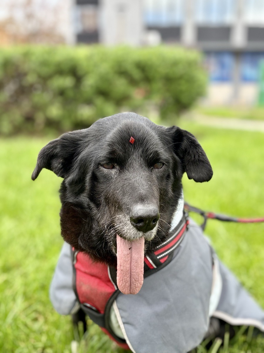 Foto de ColoColo 💖🐾