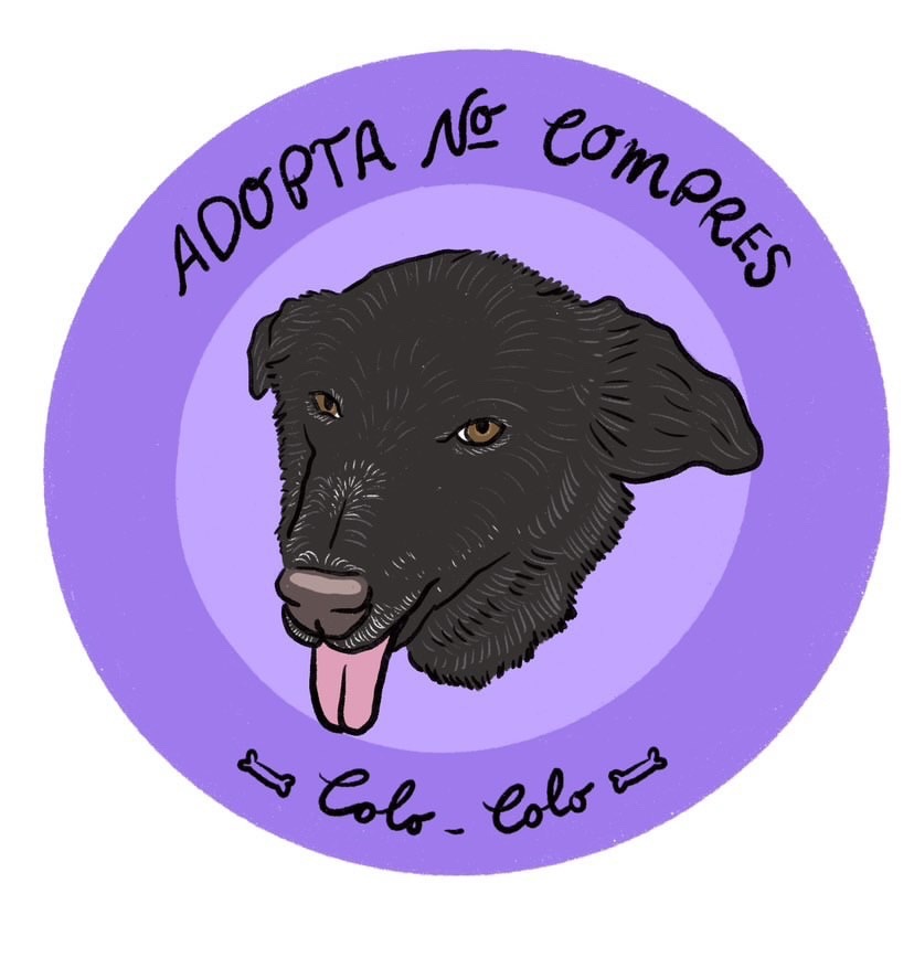 Foto de ColoColo 💖🐾