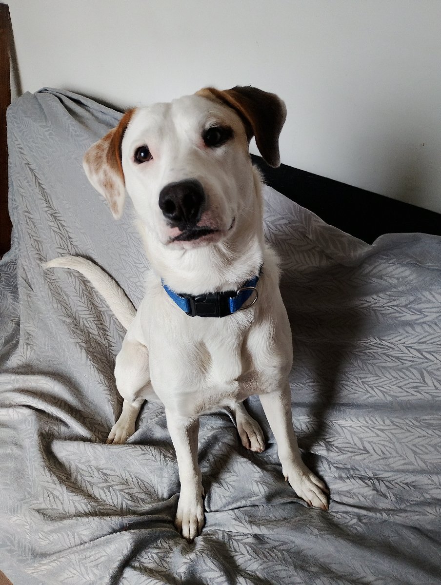 Foto de Otto