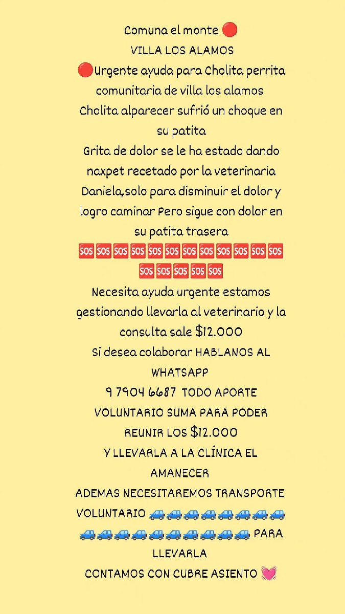 Foto de CHOLITA PERRITA COMUNITARIA NECESITA ATENCIÓN VETERINARIA URGENTE 🔴 AYUDENOS A DIFUNDIR PORFAVOR
