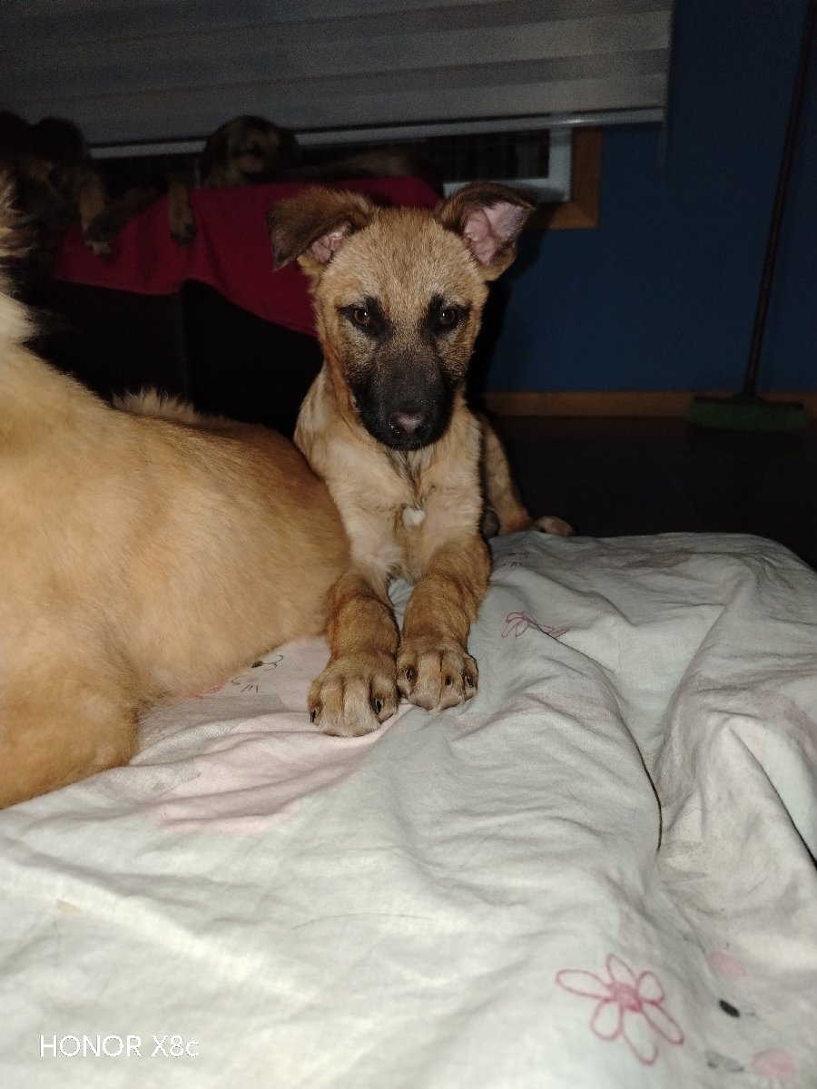 Foto de Mila