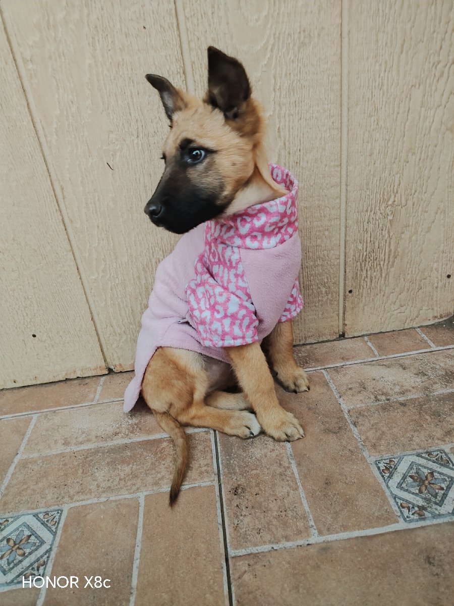 Foto de Mila