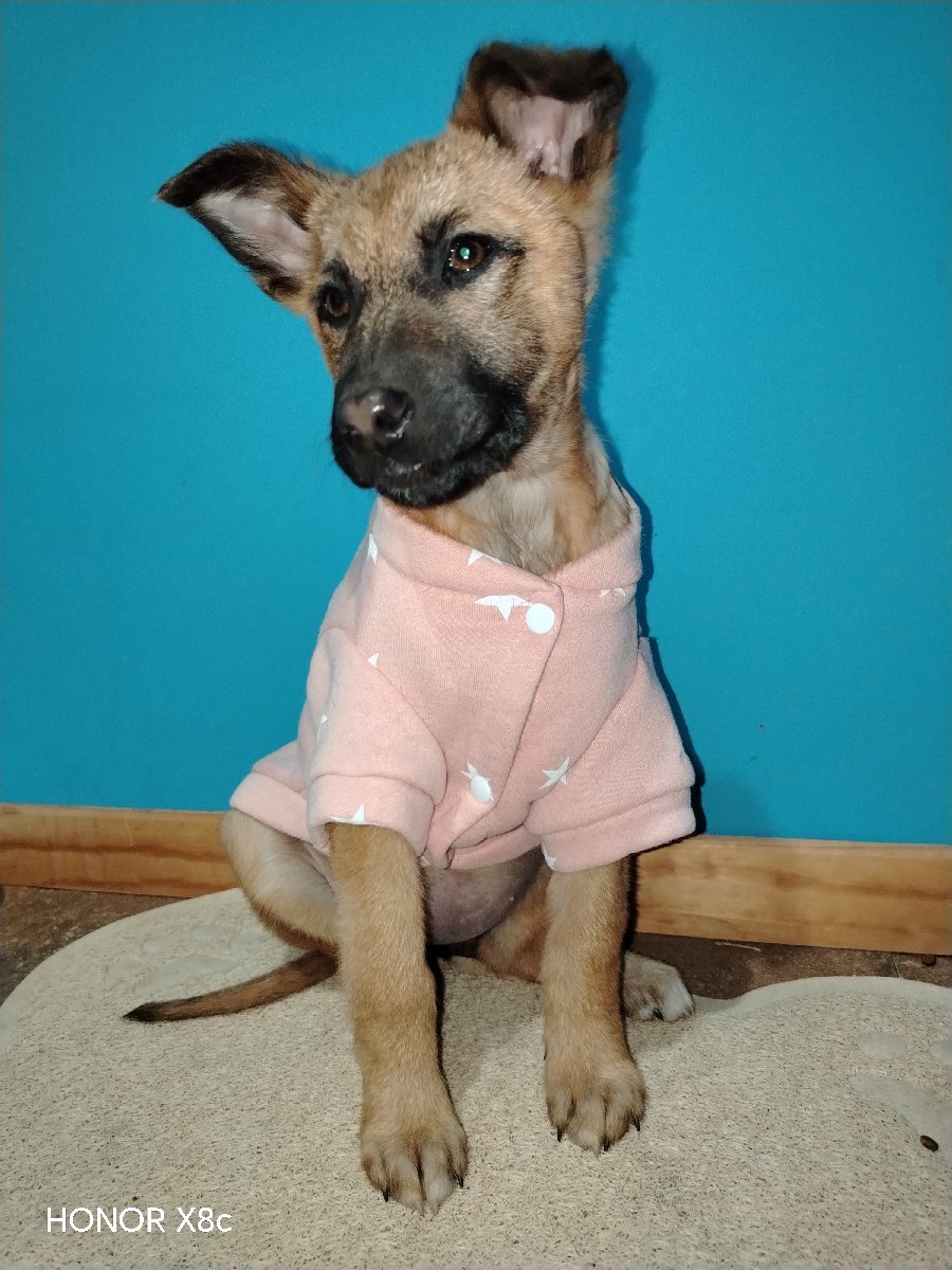 Foto de Mila